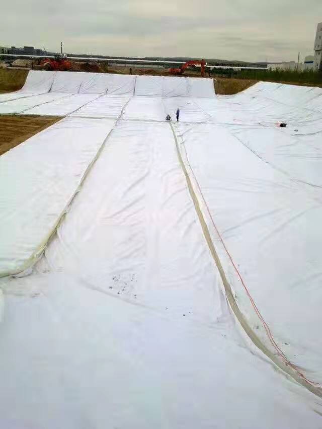 �L(zh��ng)�z��(f��)������Ĥ