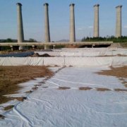 ����B(y��ng)ֳ��I(y��)���B